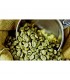 كارتون  قهوة خضراء طبيعي Green Coffee سريع التحضير ماركة MOLTICAFE  أكياس 2 غرام